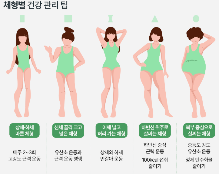 하체 비만일 땐 100kcal 덜 먹고 골격 큰 사람은 이 운동